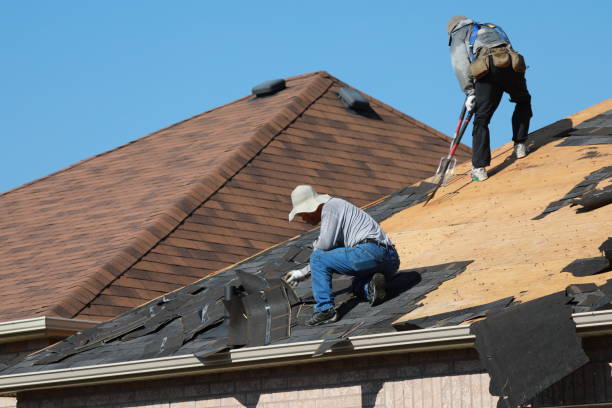 Best Asphalt Shingle Roofing  in Menlo Park Terrace, NJ